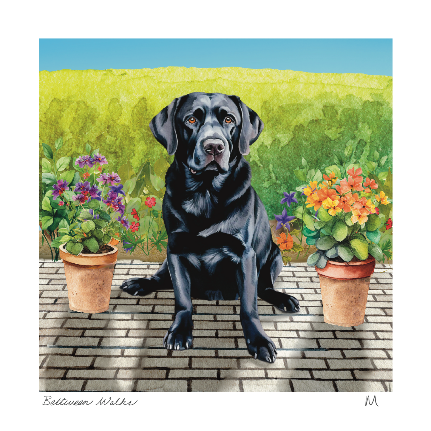 'Between Walks' Art Print