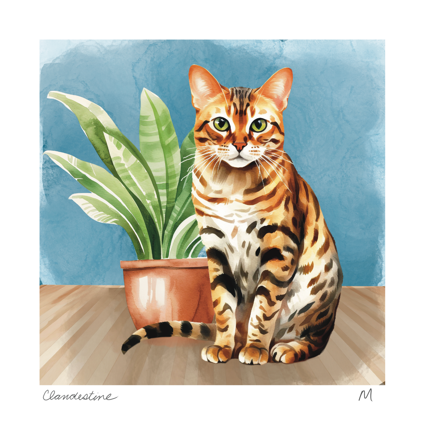 'Clandestine' Art Print