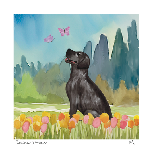 'Curious Wonder' Art Print