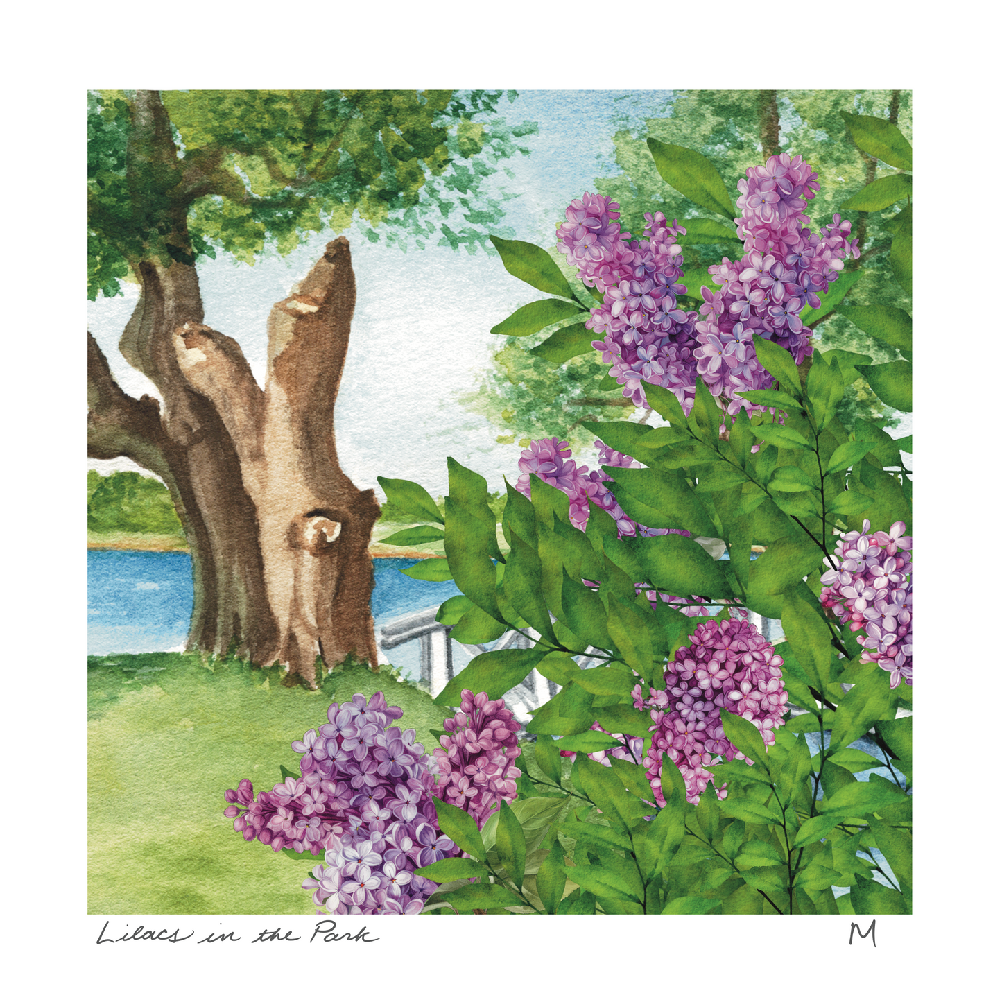 'Lilacs in the Park' Art Print