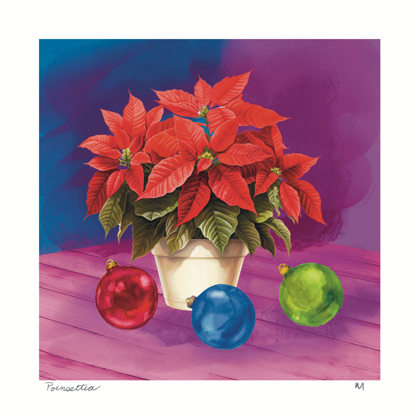 'Poinsettia' Art Print