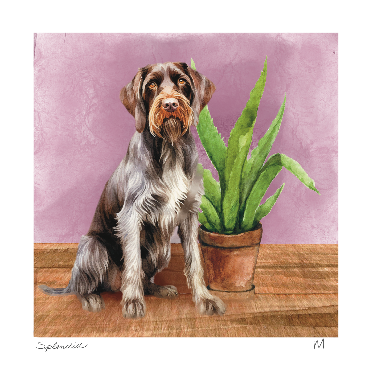 'Splendid' Art Print