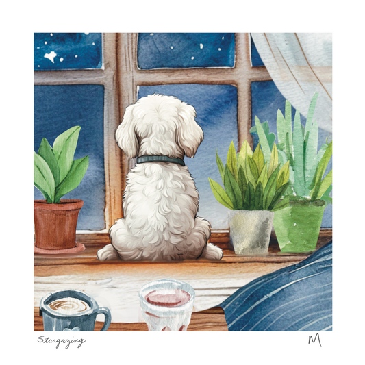 'Stargazing' Art Print