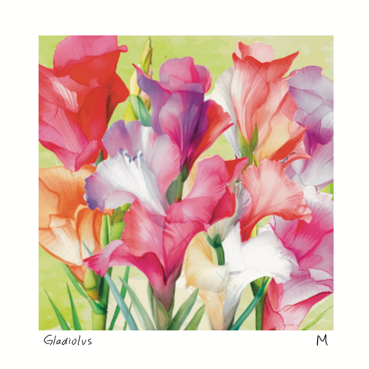 'Gladiolus' Art Print