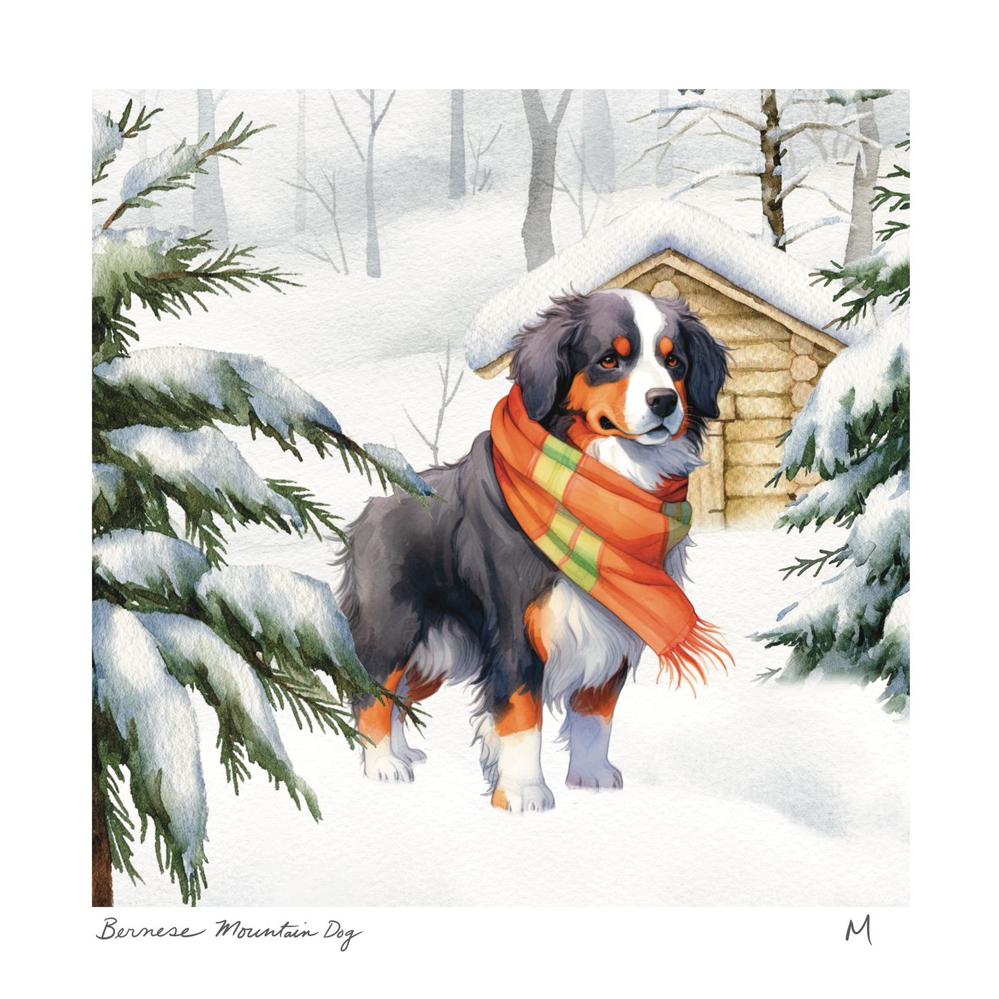 'Bernese Mountain Dog' Art Print