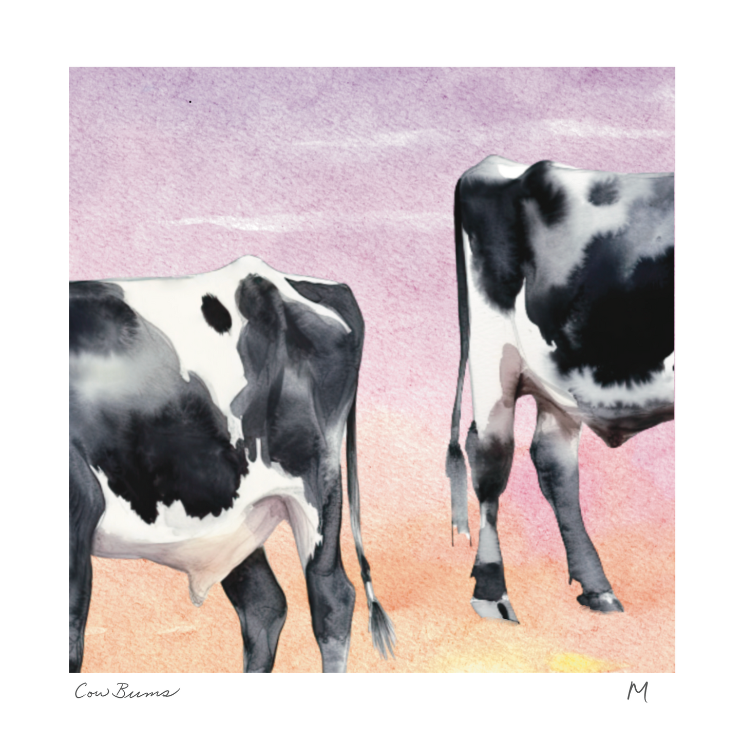 'Cow Bums' Art Print